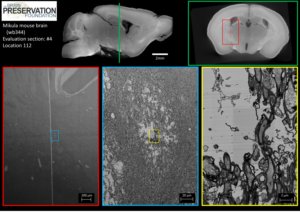 wb344_EvalSec04_Loc112_Thumbnail