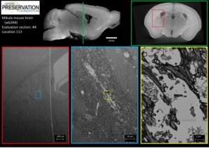 wb344_EvalSec04_Loc113_Thumbnail