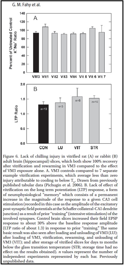 Recovery of LTP electrophysiology in vitrified hippocampal slices (Fahy et al. 2013)